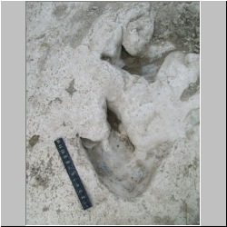 100_0104 (2009-24-07)m.jpg